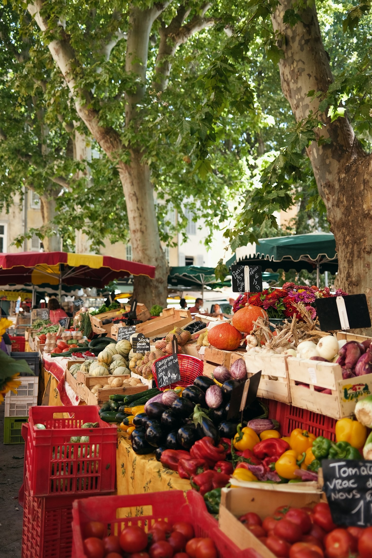 Exploring the World of Artisan Spice Mixes